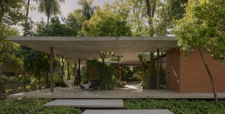 A Forest in the House